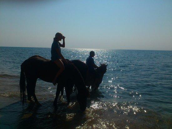 Kefalonia's Horse Riding Stable